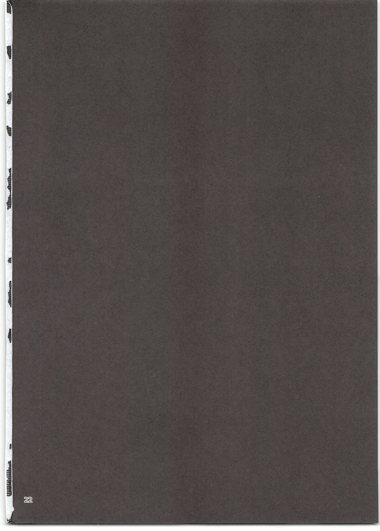 (C95) [スパイシーラブスヘブン (かみ田)] ニコラブ