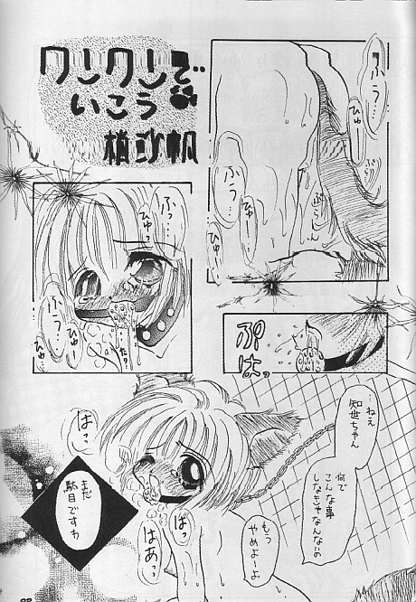 (C53) [M.MACABRE (にゃんMIC)] さくらさく4 (カードキャプターさくら)