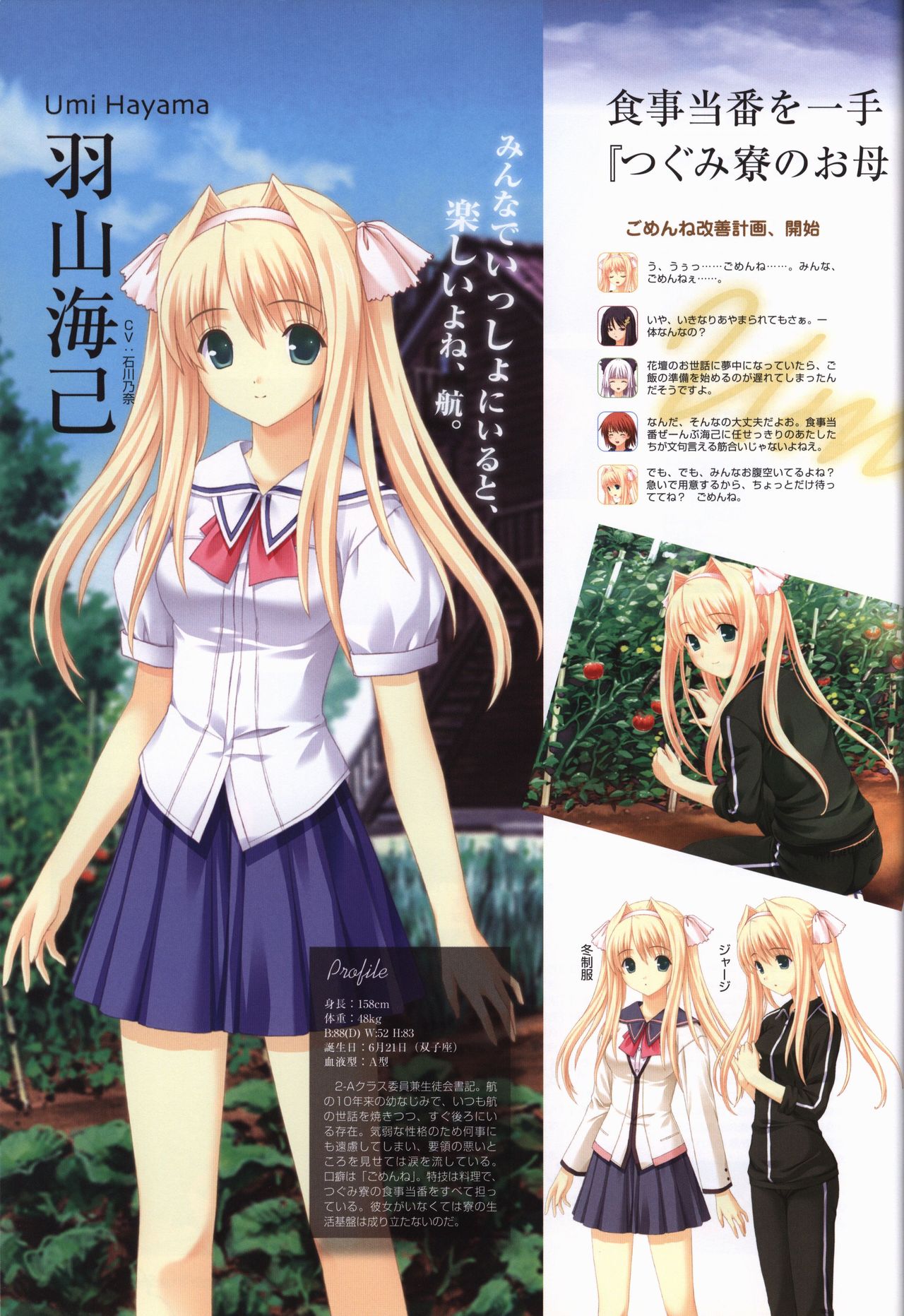 この青空に約束を— オフィシャルファンブック