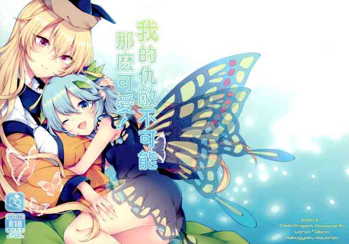 (満天祭) [白玉アクエリア (白義)] よーちゅういじんぶつ! (東方Project) [中国翻訳]