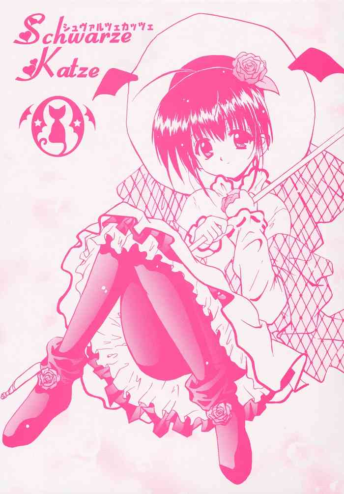 (サンクリ16) [もくもく堂 (常磐兼成)] Schwarze Katze シュヴァルツェカッツェ (ぴたテン、焼きたて!! ジャぱん)