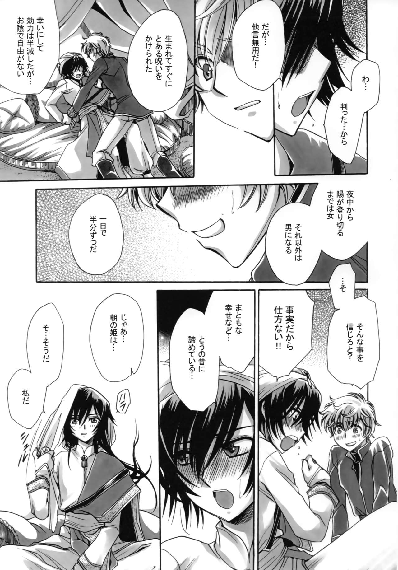 (C83) [にゃごズ (夜天月)] a lot of Princesses (コードギアス 反逆のルルーシュ)