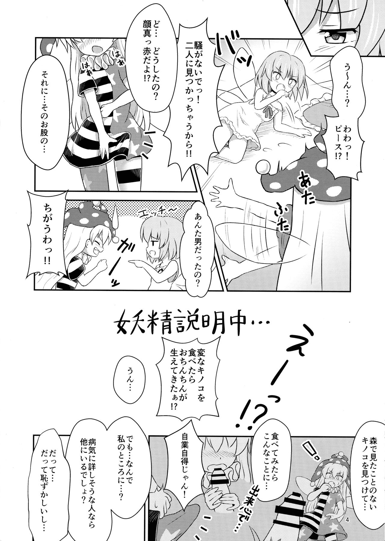 (例大祭16) [るなてぃっくとらべらー (白月しおり)] 妖精セックスコミュニケーション (東方Project)