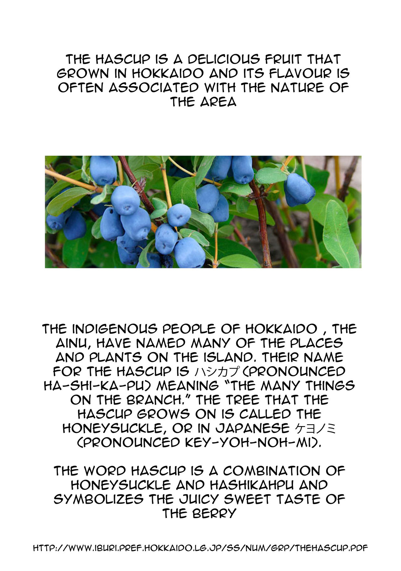 (C92) [INFINITY DRIVE (京極しん)] Hascup (艦隊これくしょん -艦これ-) [英訳]