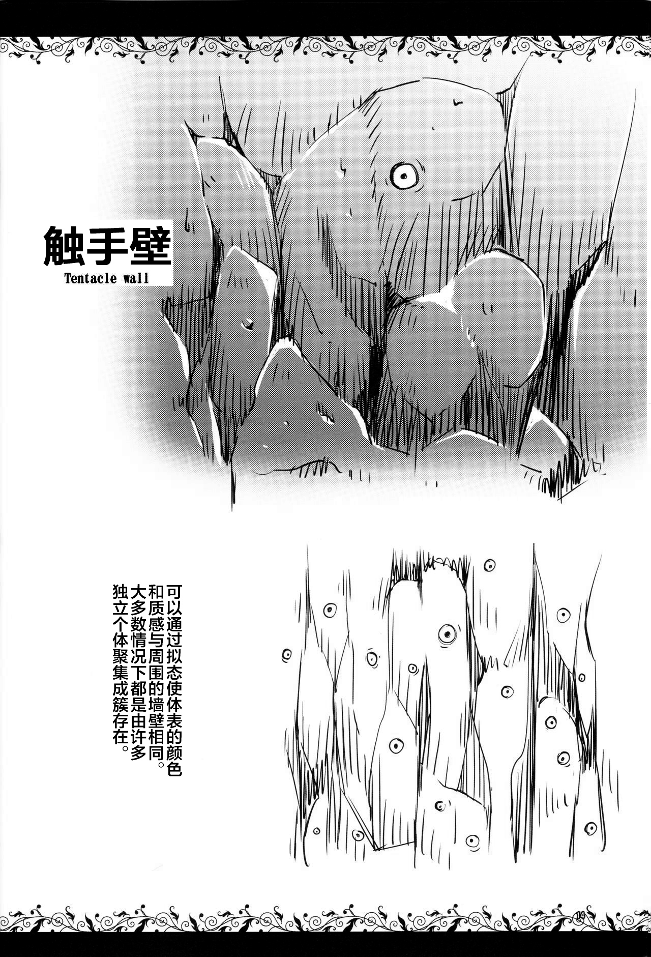 (コミティア124) [カメムシ (神鳴る冬)] 触手図鑑 [中国翻訳]