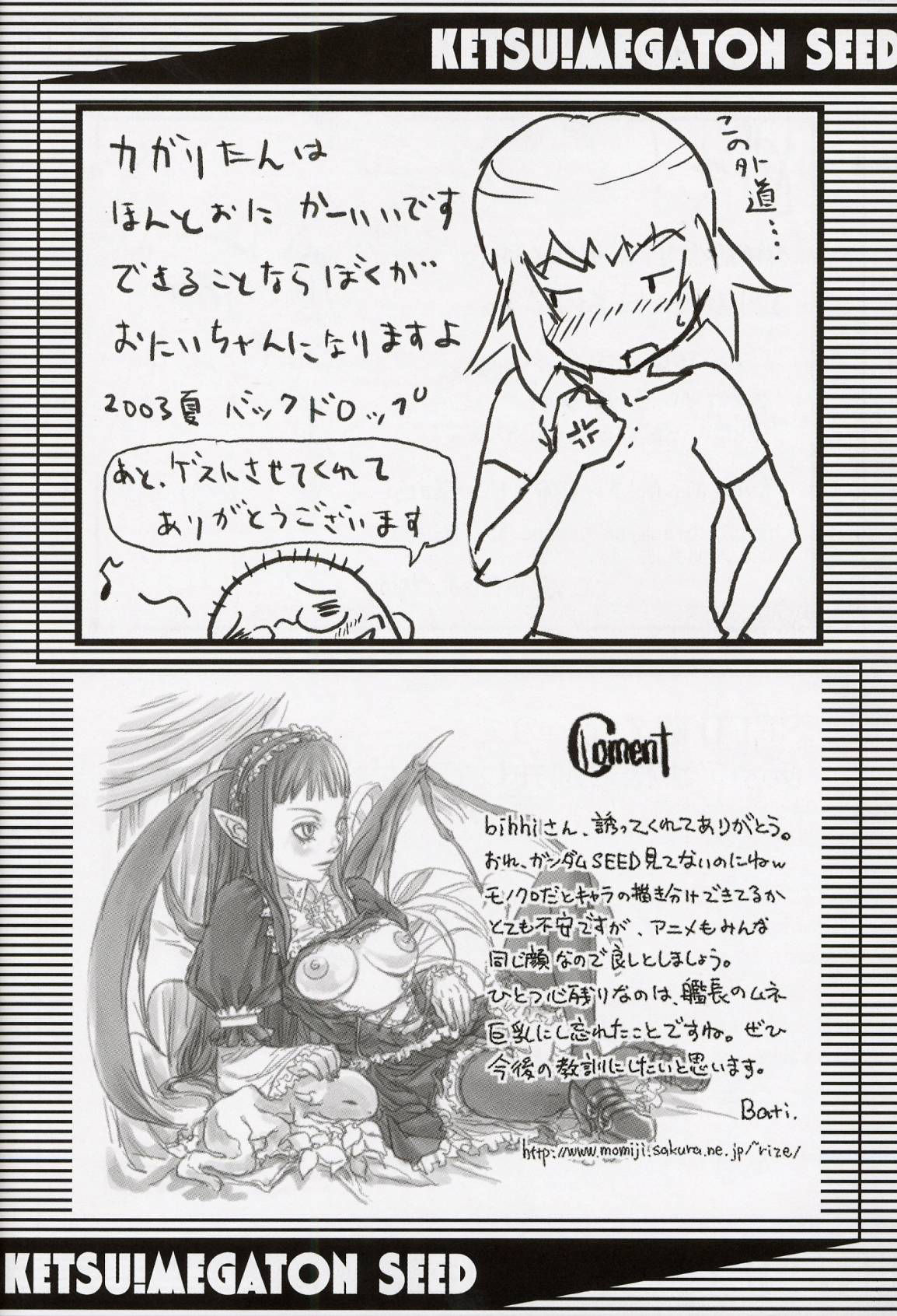 (C64) [トルエン一斗缶 (ピエールのらの, 品川ハム)] KETSU！Megaton SEED (機動戦士ガンダム SEED) [中国翻訳]