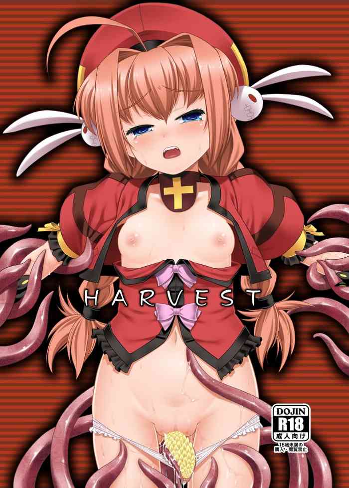 [にゃ～にゃ～興信所 (海原圭哉)] HARVEST (魔法少女リリカルなのは) [英訳] [DL版]