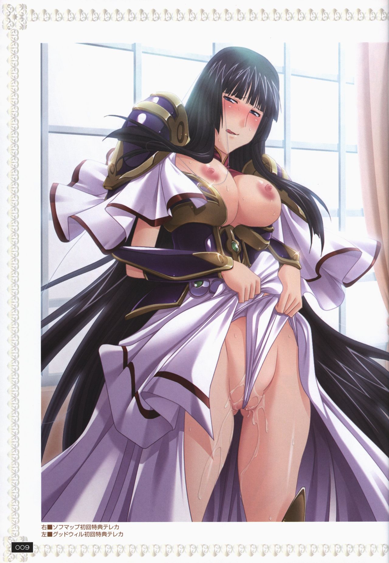 戦乙女ヴァルキリーG 戦乙女調教ファイル