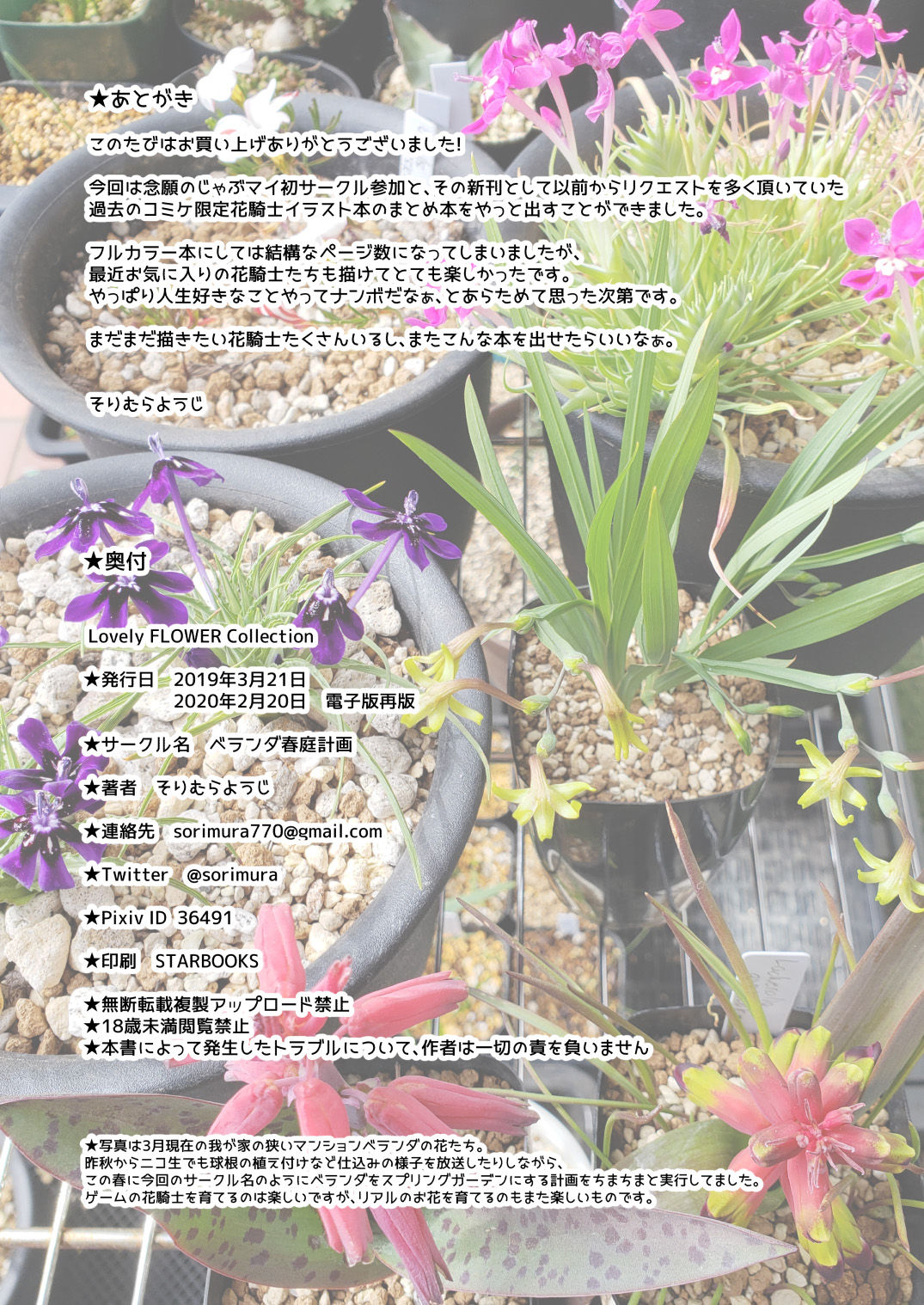 [ベランダ春庭計画 (そりむらようじ)] Lovely Flower Collection (フラワーナイトガール) [DL版]