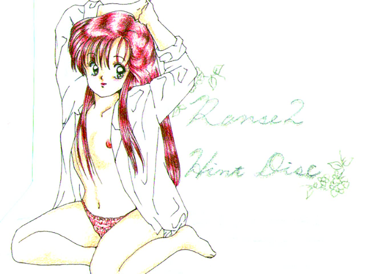 [アリスソフト] ランス 1.2.3 原画設定資料 (不揃い) [yukimi]