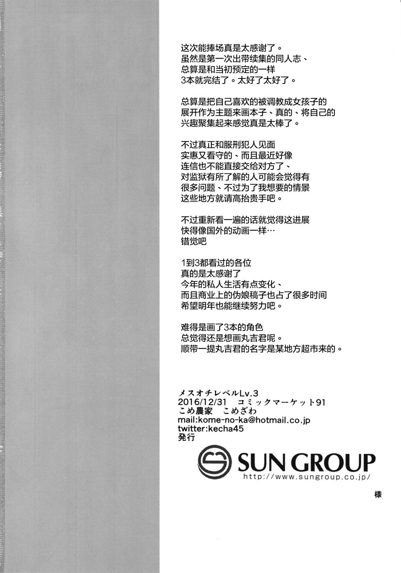 メスオチレベルLv.3