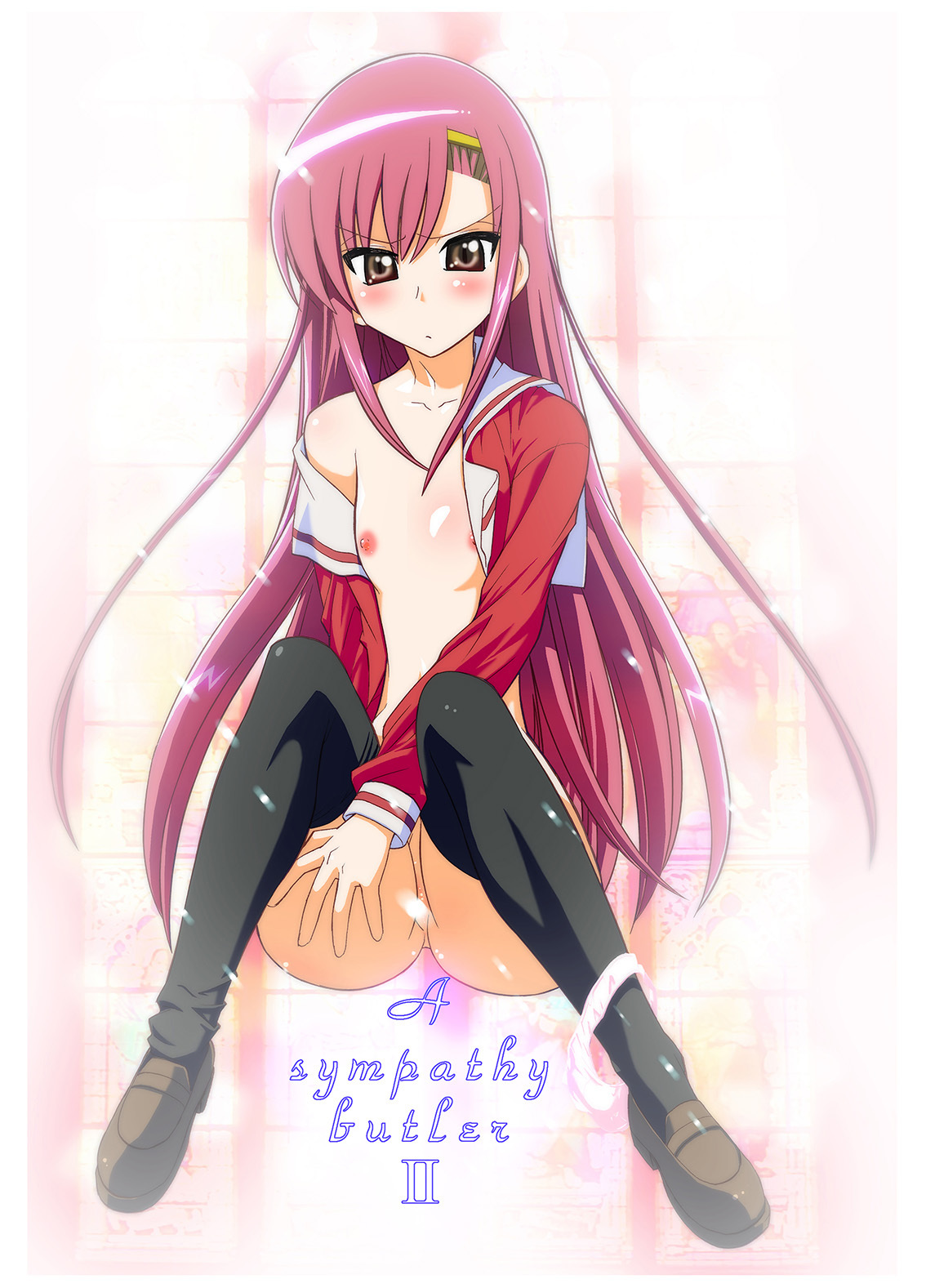 ハヤテのごとく！そしゅうへん