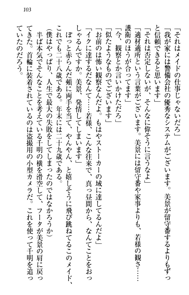 年上メイドの新婚日記