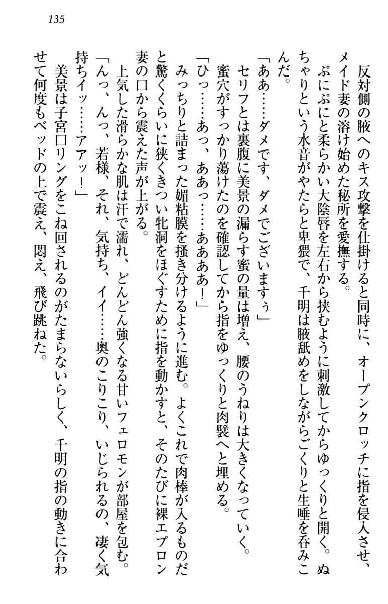 年上メイドの新婚日記