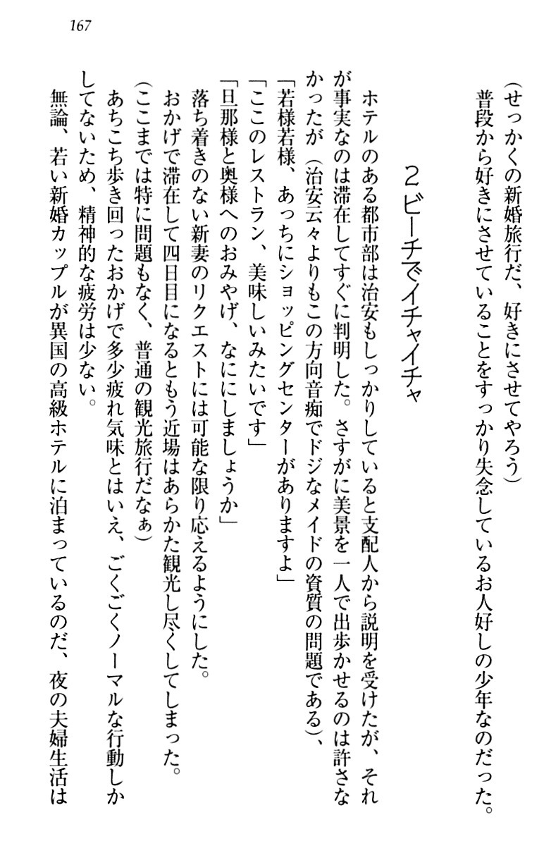 年上メイドの新婚日記
