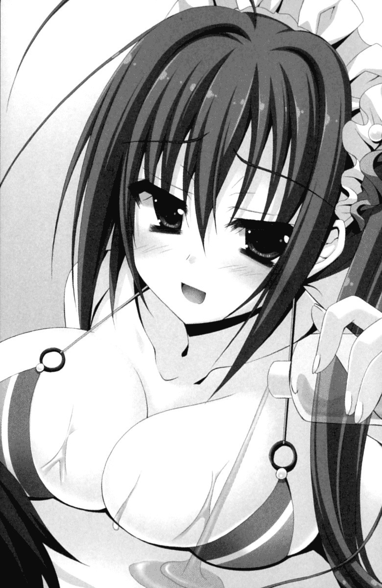 年上メイドの新婚日記