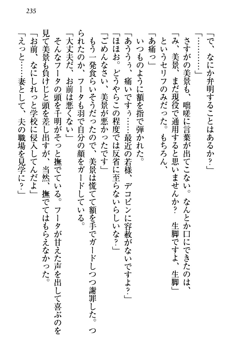 年上メイドの新婚日記