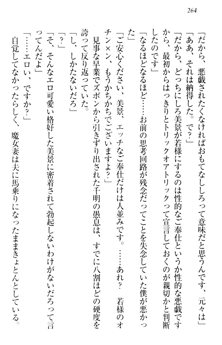 年上メイドの新婚日記