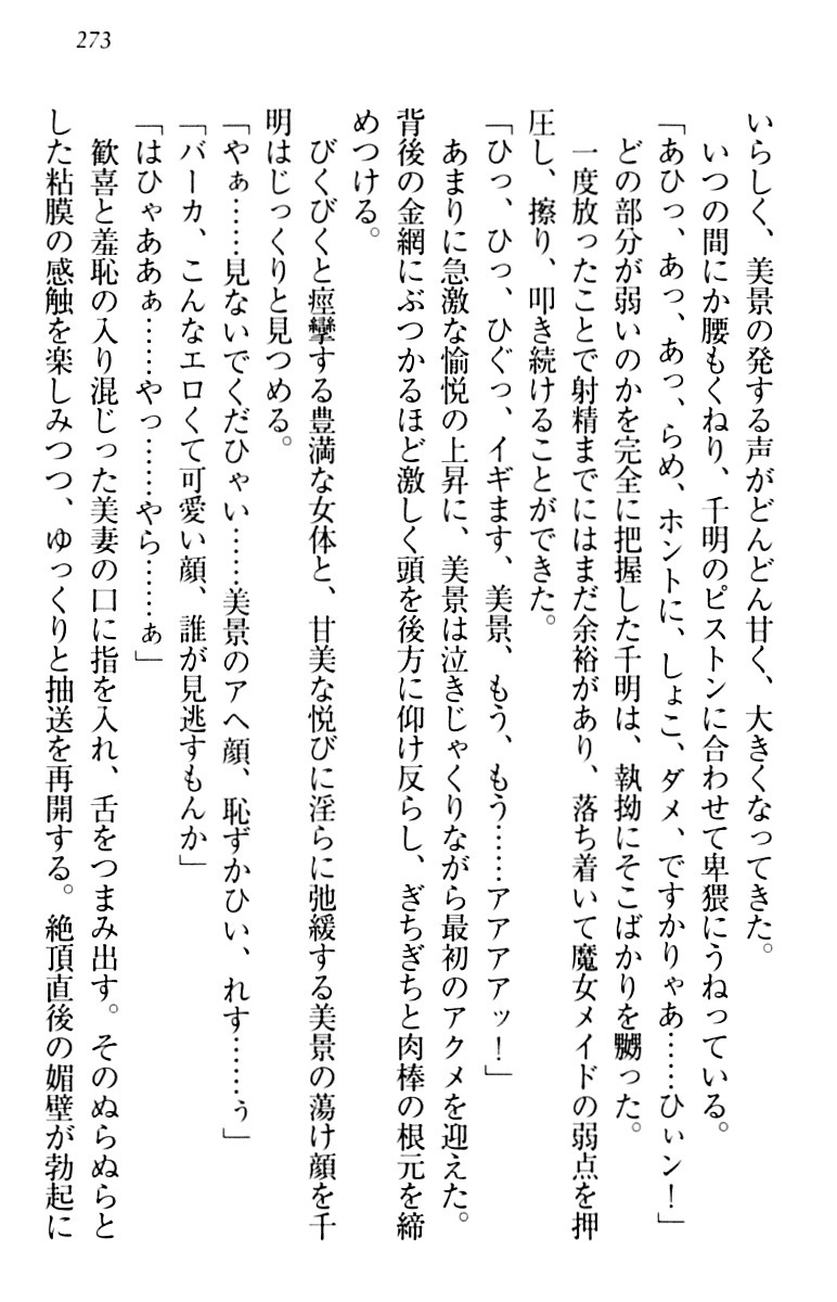 年上メイドの新婚日記