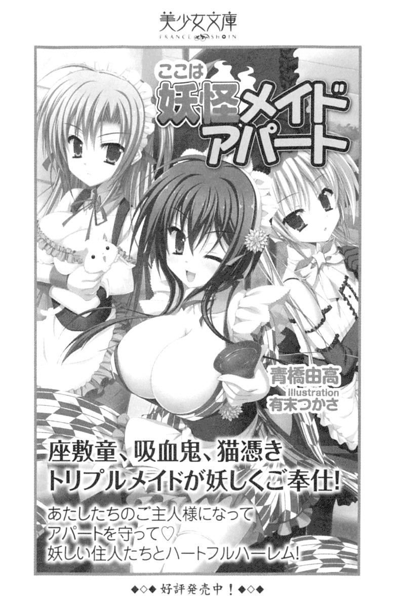 年上メイドの新婚日記