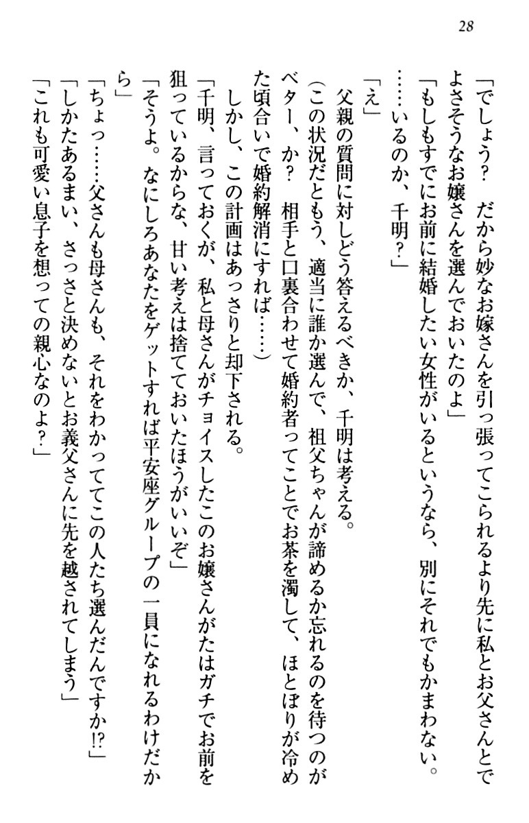 年上メイドの新婚日記