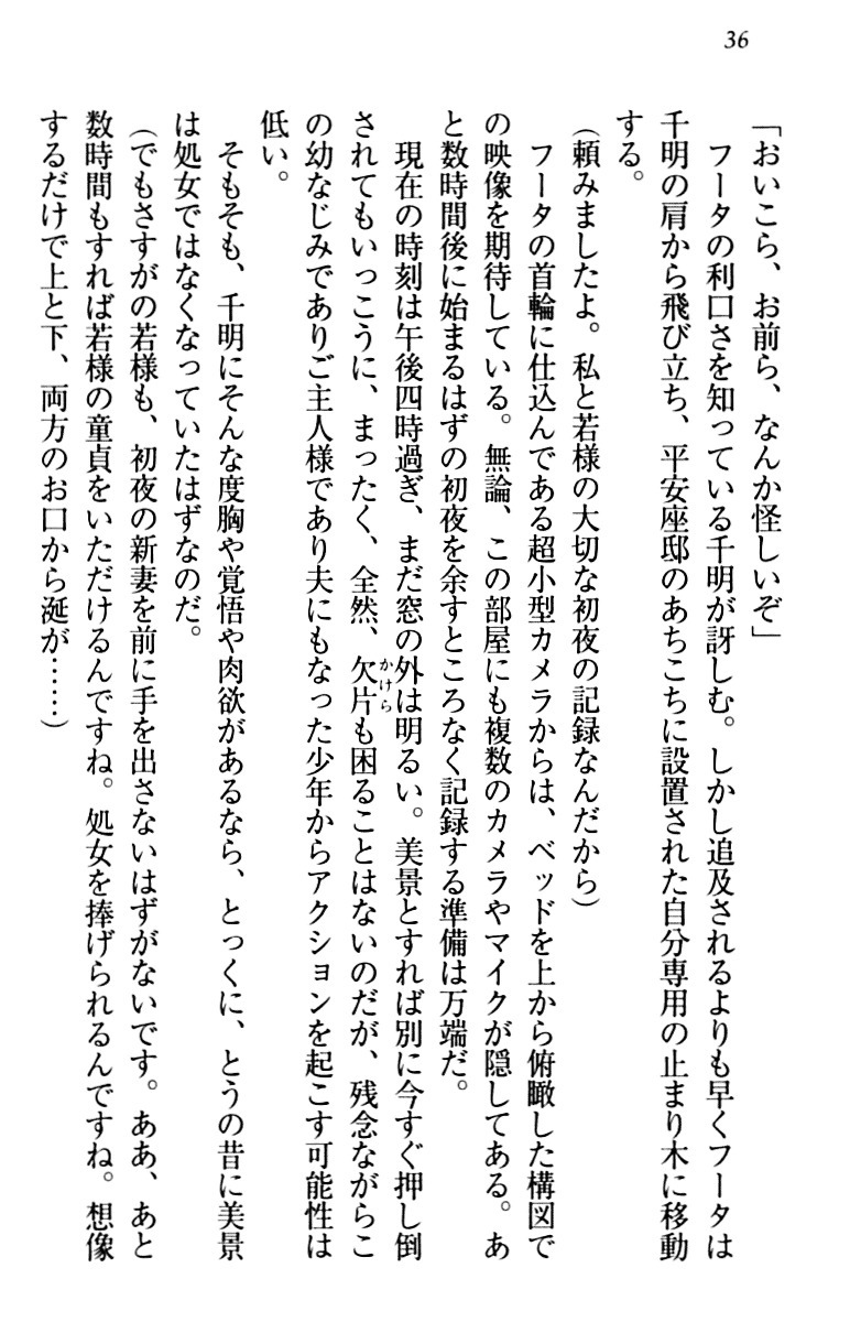 年上メイドの新婚日記