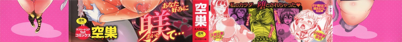 しすけあいいらすとかど