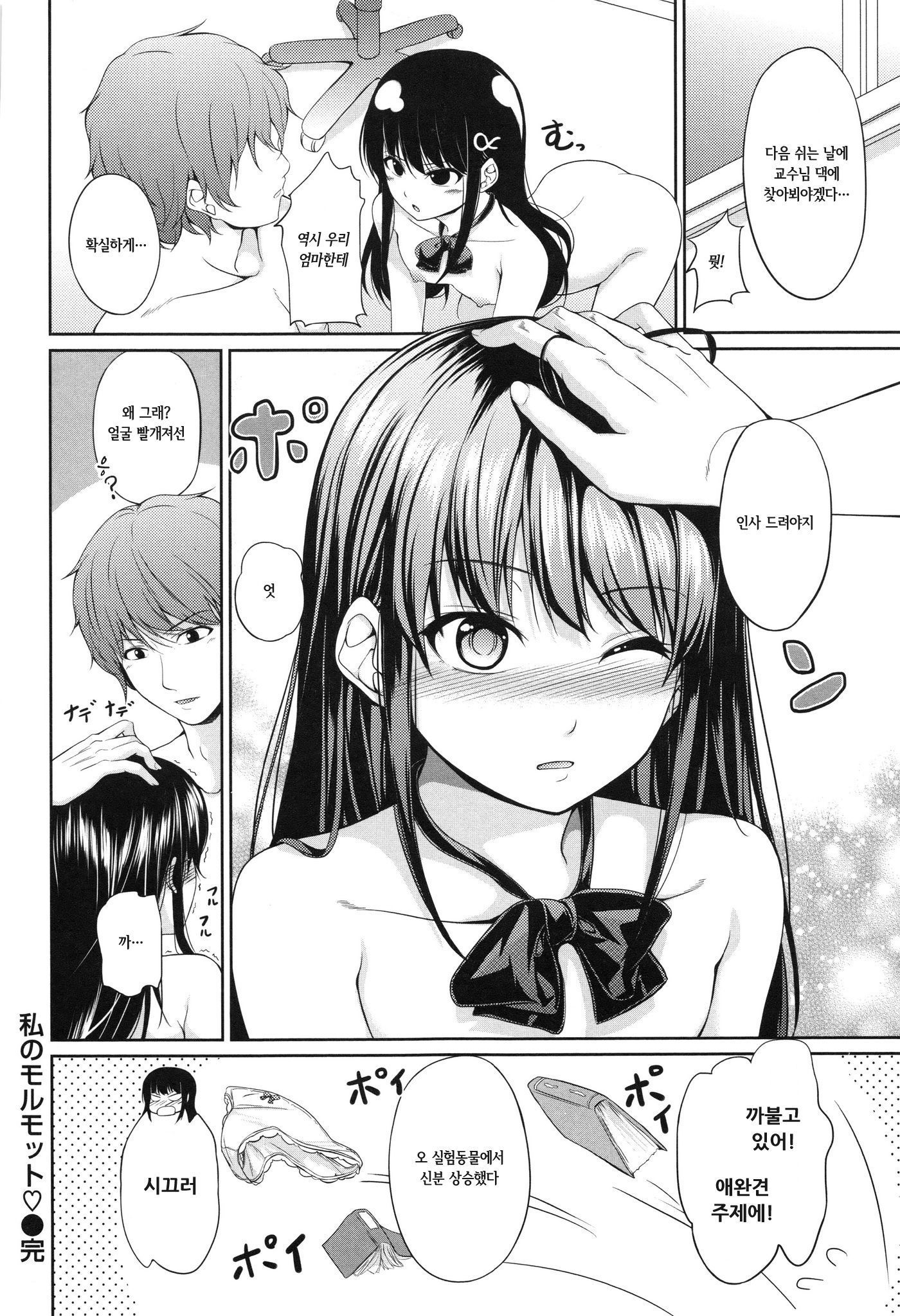 ワタシのマーモット