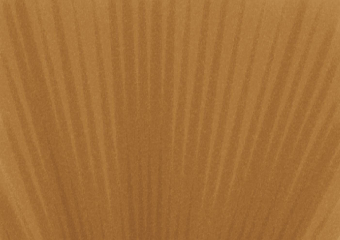 ネットカフェで予備選挙で休憩