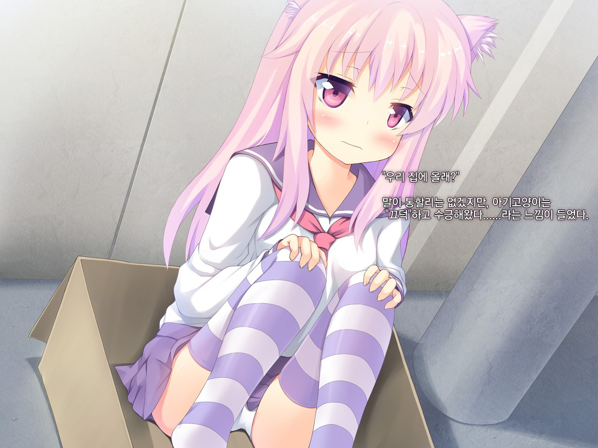 御主人様ママムーガマンデジナイNo