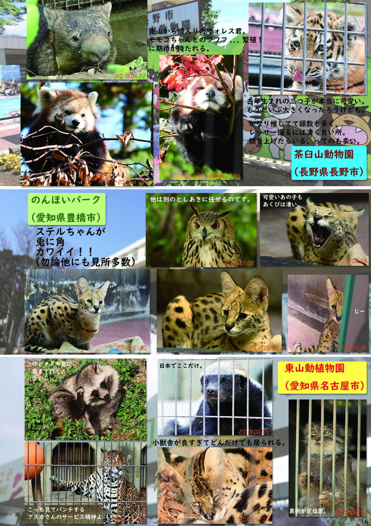 [mayけものフレンズ (よろず)] mayけものフレンズスレ合同誌2 (けものフレンズ) [DL版]