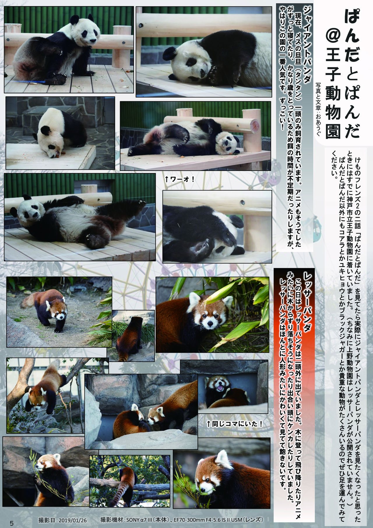 [mayけものフレンズ (よろず)] mayけものフレンズスレ合同誌2 (けものフレンズ) [DL版]