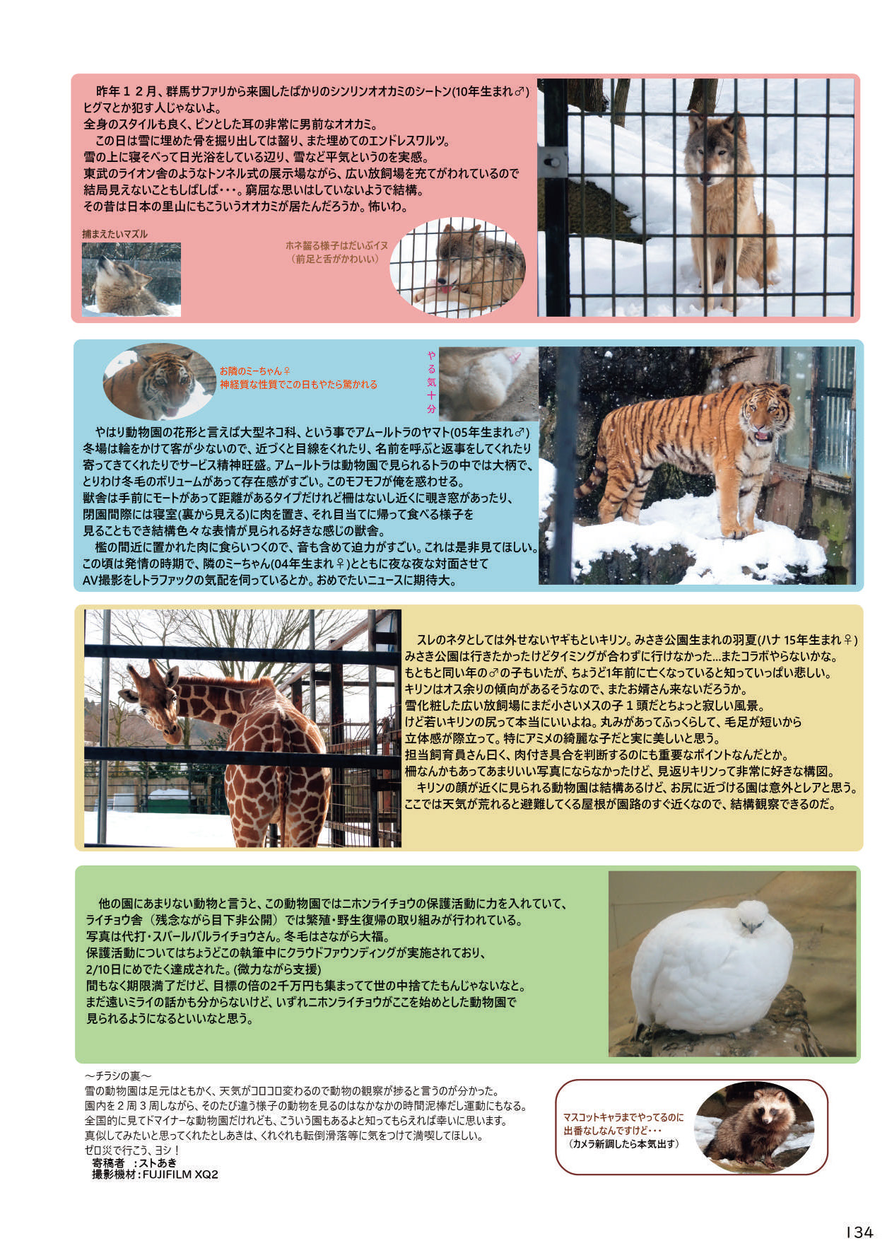 [mayけものフレンズ (よろず)] mayけものフレンズスレ合同誌 (けものフレンズ) [DL版]