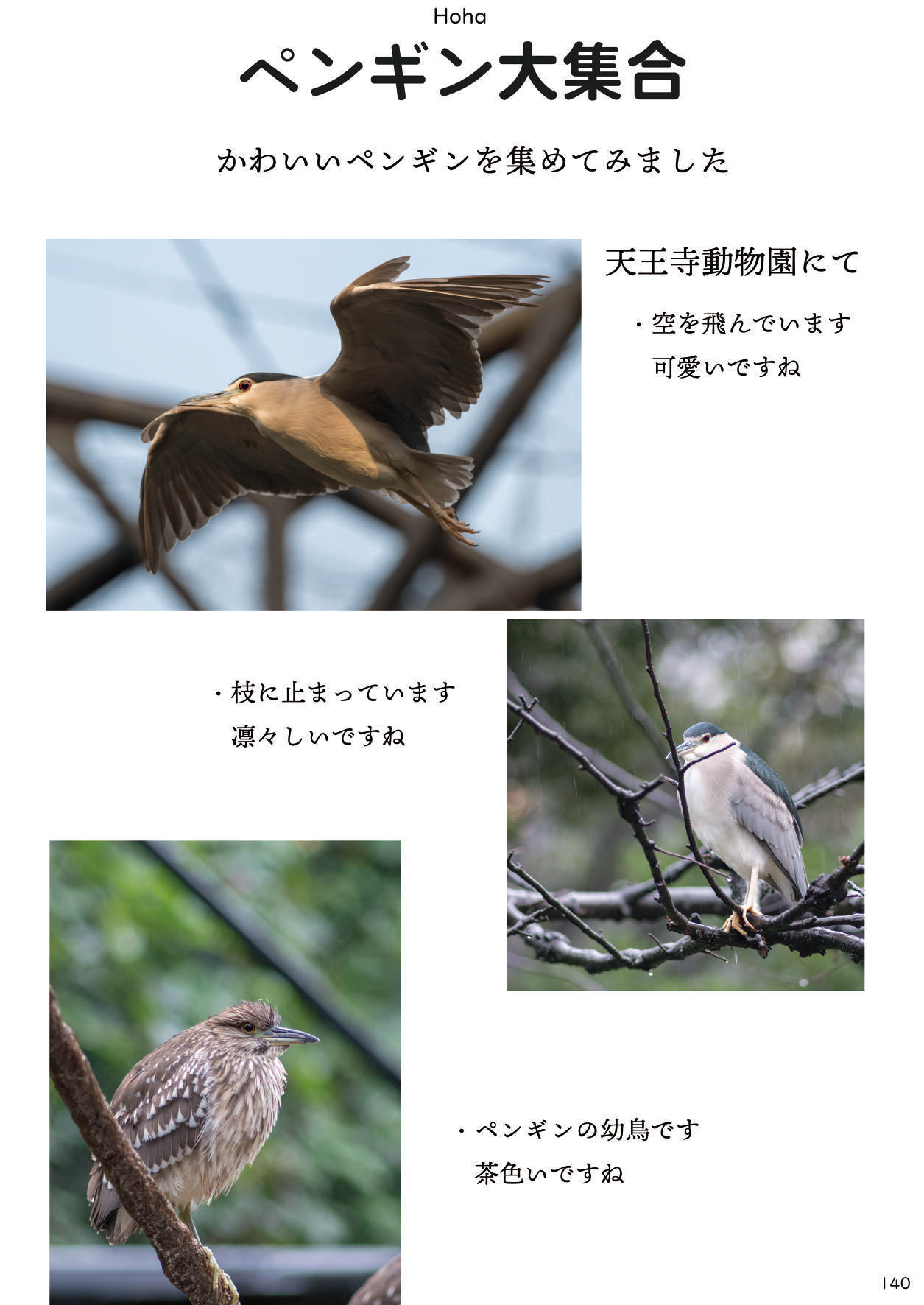 [mayけものフレンズ (よろず)] mayけものフレンズスレ合同誌 (けものフレンズ) [DL版]