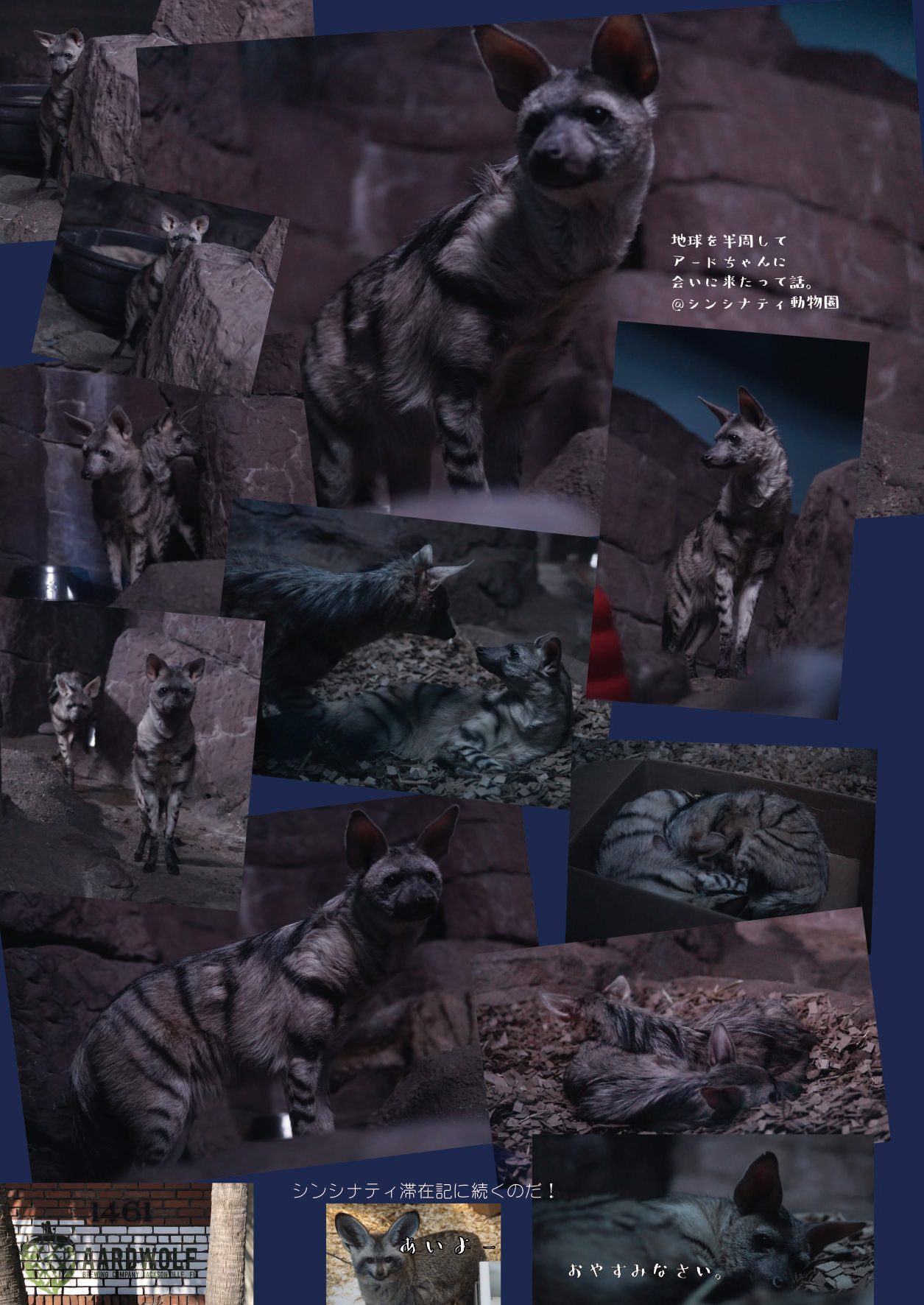 [mayけものフレンズ (よろず)] mayけものフレンズスレ合同誌 (けものフレンズ) [DL版]