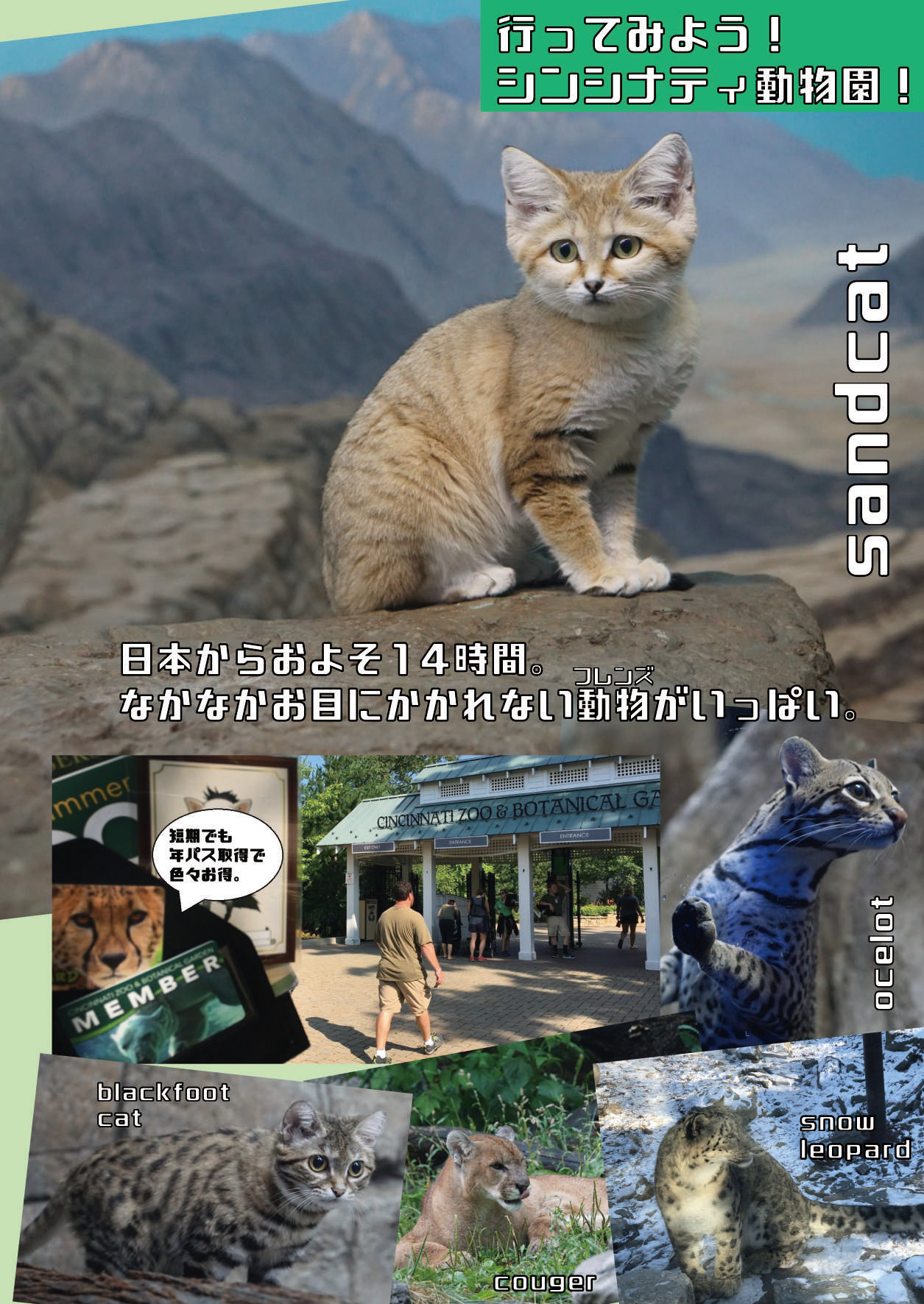 [mayけものフレンズ (よろず)] mayけものフレンズスレ合同誌 (けものフレンズ) [DL版]