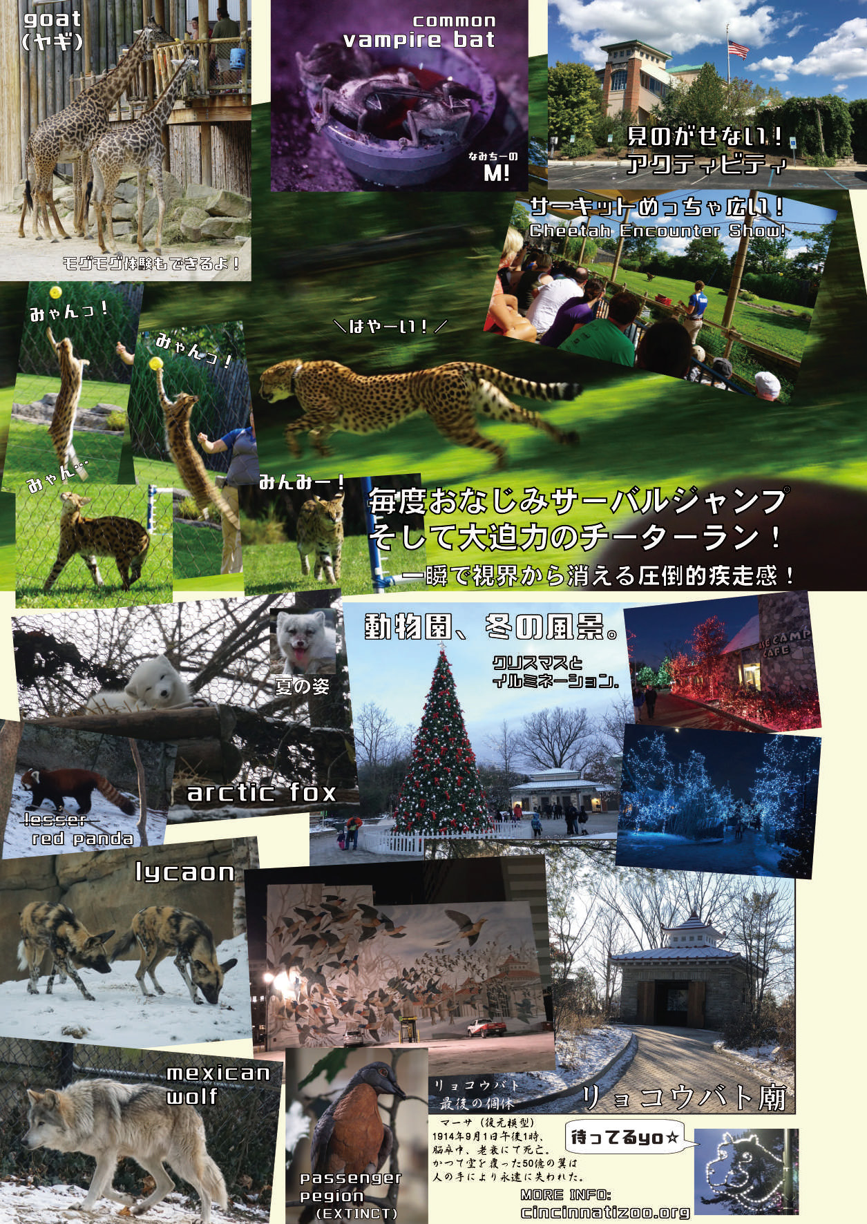 [mayけものフレンズ (よろず)] mayけものフレンズスレ合同誌 (けものフレンズ) [DL版]