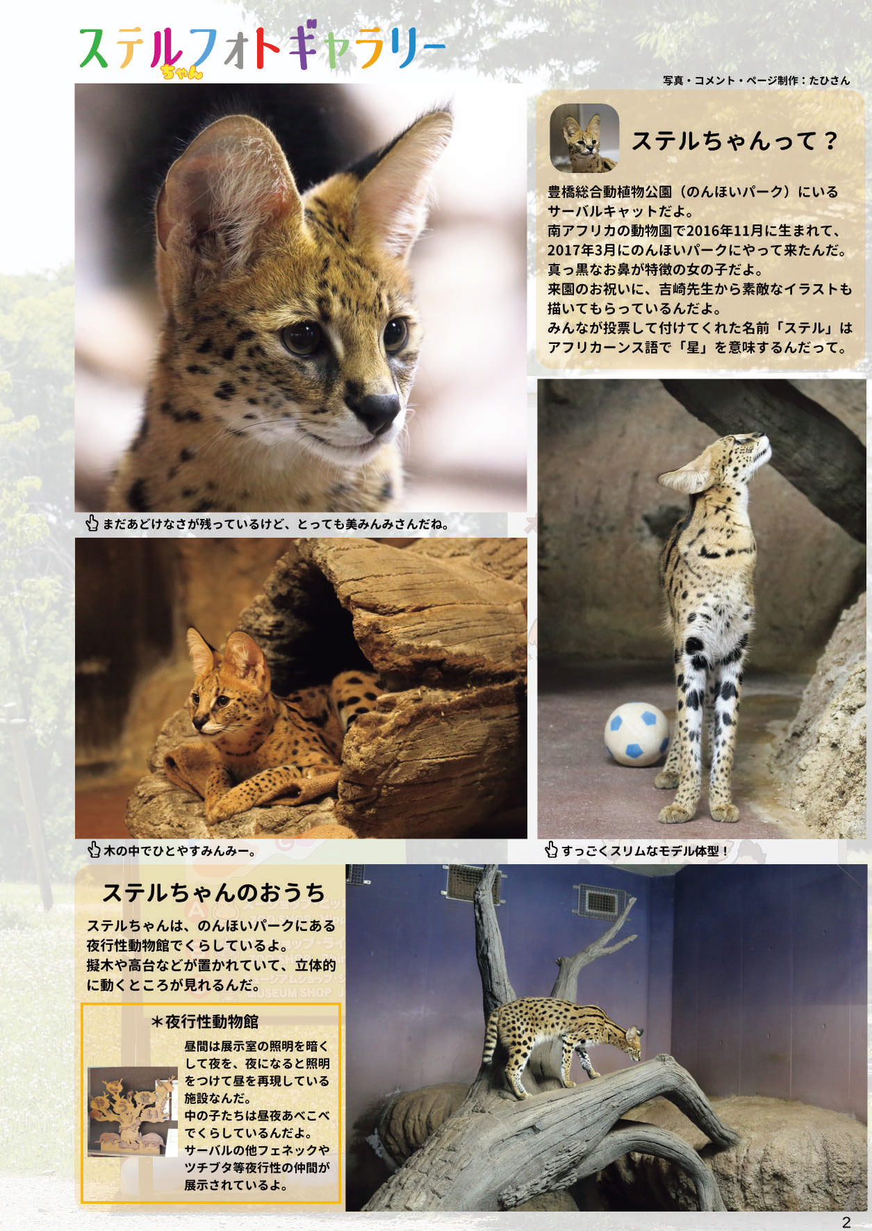 [mayけものフレンズ (よろず)] mayけものフレンズスレ合同誌 (けものフレンズ) [DL版]