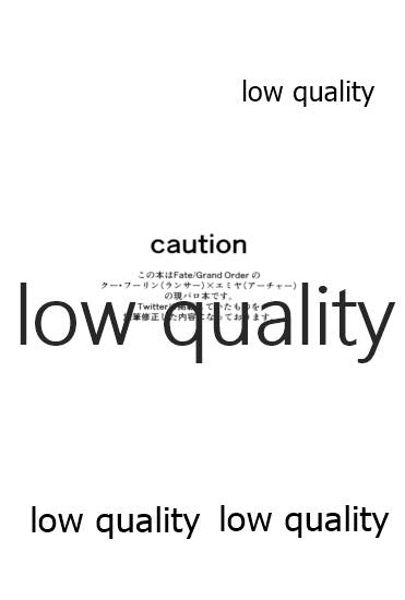 [Andorado (あんどら)] ユキバレマリッジ ~槍弓パロディ再録集~ (Fate/Grand Order)