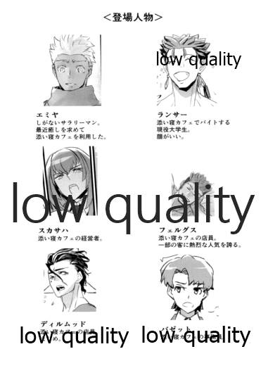 [Andorado (あんどら)] ユキバレマリッジ ~槍弓パロディ再録集~ (Fate/Grand Order)