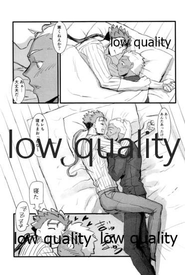 [Andorado (あんどら)] ユキバレマリッジ ~槍弓パロディ再録集~ (Fate/Grand Order)