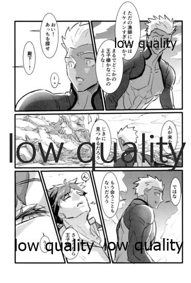 [Andorado (あんどら)] ユキバレマリッジ ~槍弓パロディ再録集~ (Fate/Grand Order)