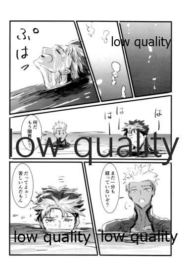 [Andorado (あんどら)] ユキバレマリッジ ~槍弓パロディ再録集~ (Fate/Grand Order)