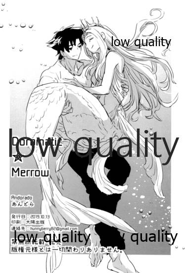 [Andorado (あんどら)] ユキバレマリッジ ~槍弓パロディ再録集~ (Fate/Grand Order)
