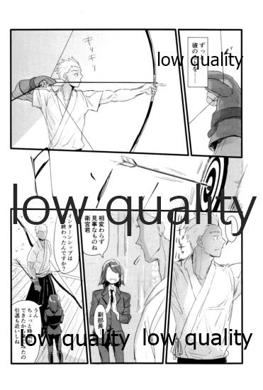 [Andorado (あんどら)] ユキバレマリッジ ~槍弓パロディ再録集~ (Fate/Grand Order)