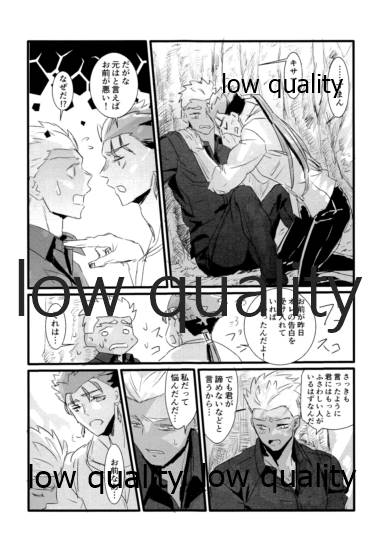 [Andorado (あんどら)] ユキバレマリッジ ~槍弓パロディ再録集~ (Fate/Grand Order)