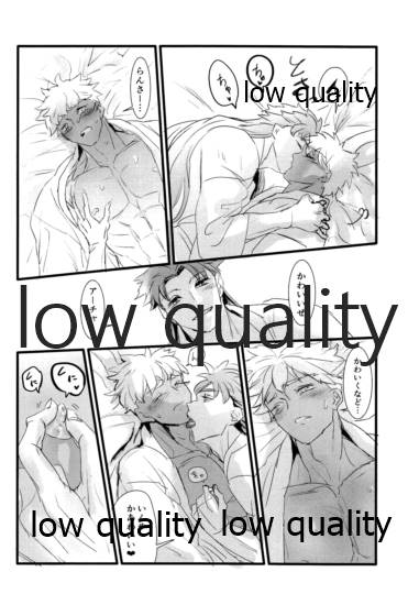 [Andorado (あんどら)] ユキバレマリッジ ~槍弓パロディ再録集~ (Fate/Grand Order)