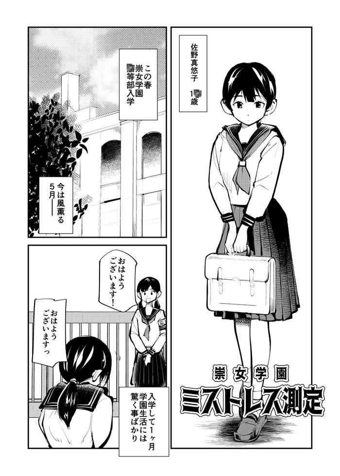 [ピーカン (幕野内)] ミストレス測定