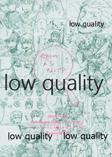 (SPARK12) [Karmin (ほずみ)] 今日のメシなに? (Fate/Grand Order)