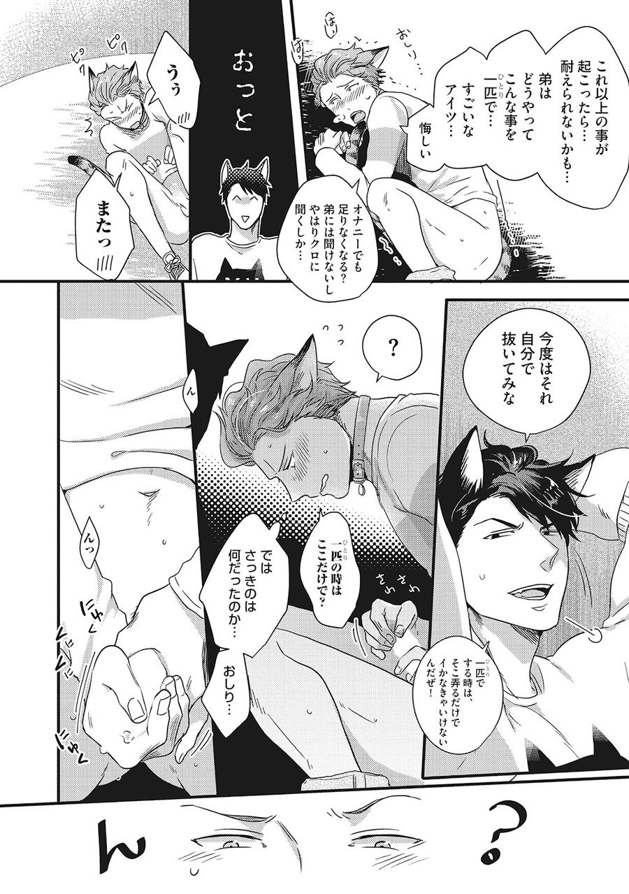 ハツジョウケモノビヨリ